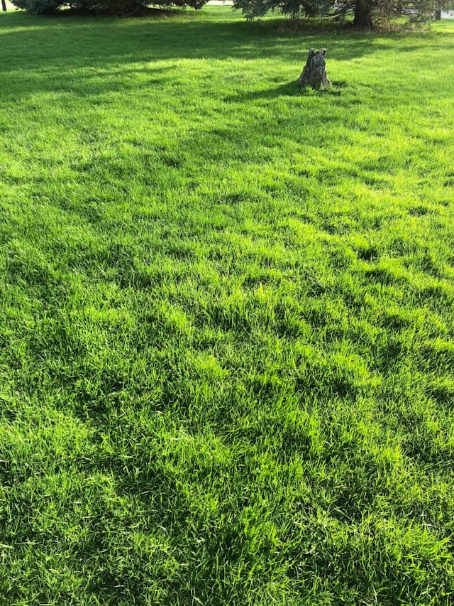 Aeration