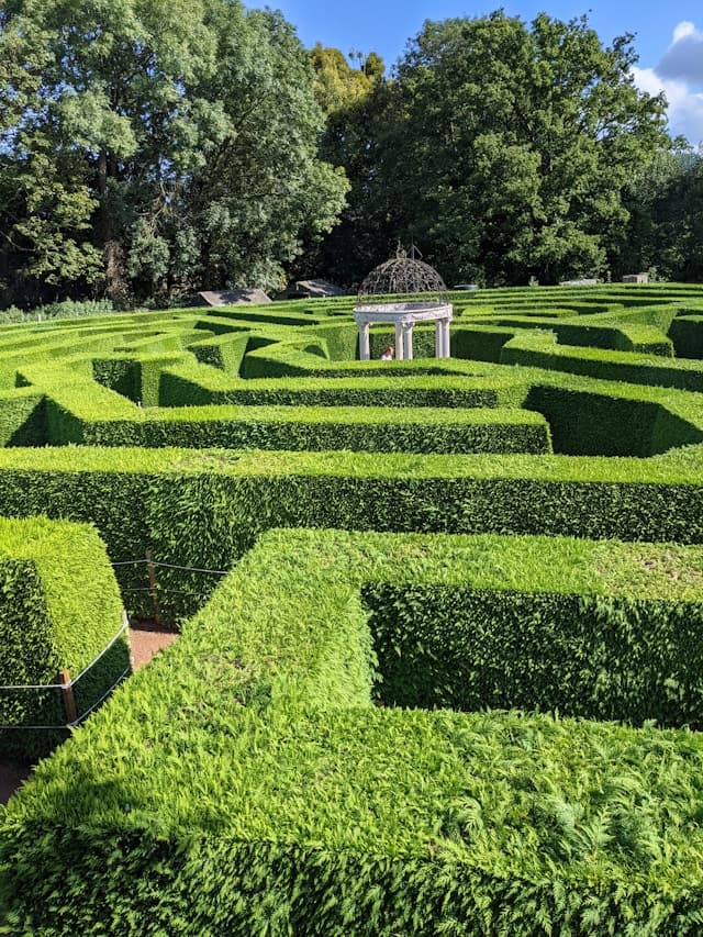 Hedge Trimming