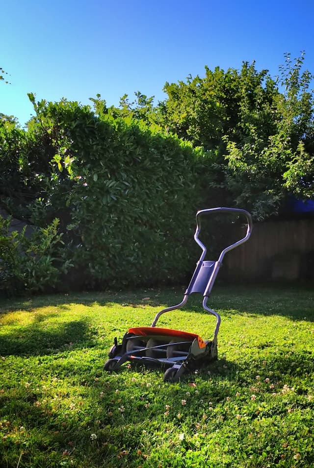 Lawn Mowing